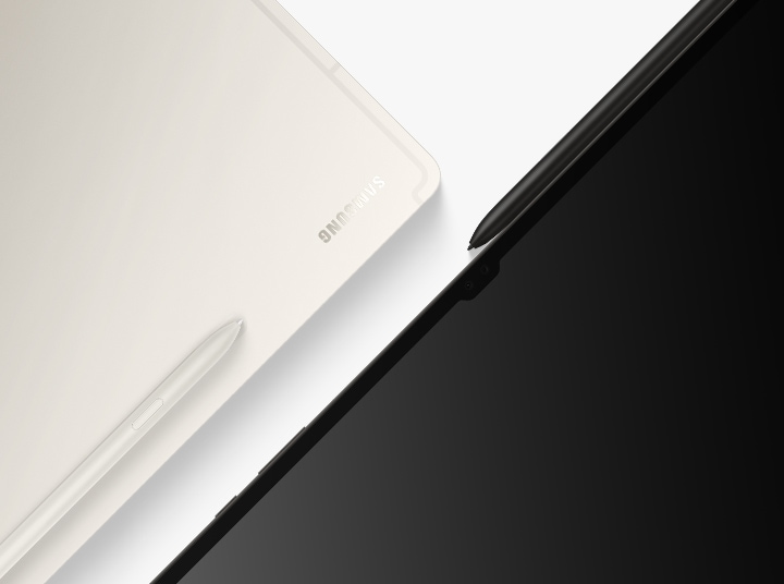 BIC SPEN S9/S9+