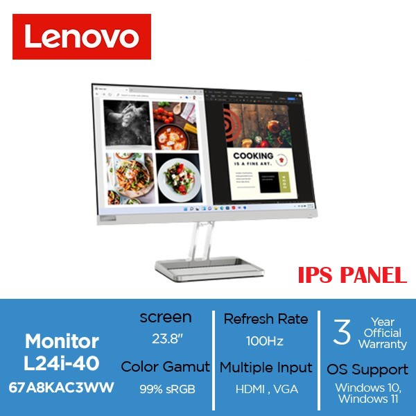 Écran Lenovo Ordinaire L24I4A 24" (L24-4E)